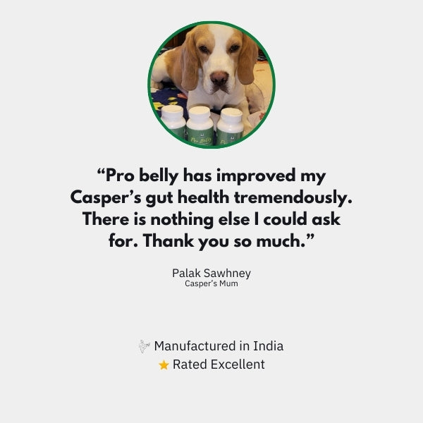Pro Belly – Strong Gut, Better Immunity, Allergy Relief
